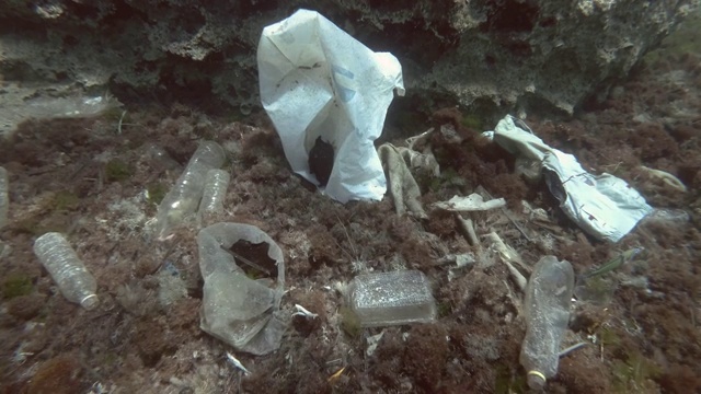 塑料污染，很多塑料垃圾底部覆盖着海藻。欧洲地中海海床上的鱼、塑料瓶、塑料袋和盘子。视频素材