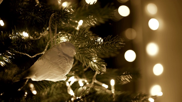 用圣诞彩灯装饰圣诞树的手女人。特写镜头视频下载