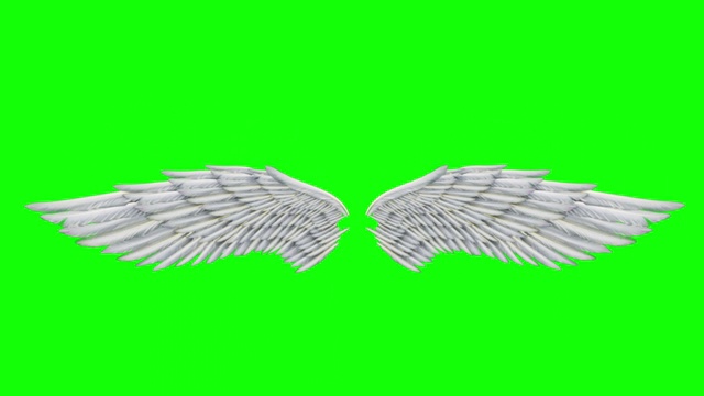 天使翅膀的动画循环视频下载