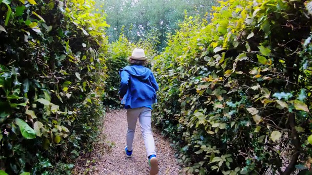一个男孩跑过山毛榉树篱迷宫视频素材