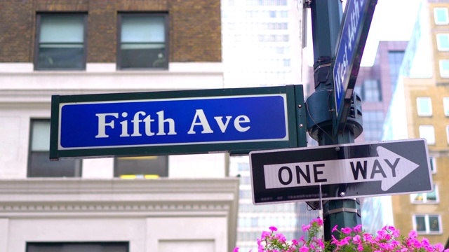 纽约市第五大道和单向路标，4K慢镜头，每秒60帧视频下载