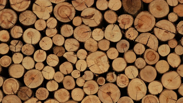 成堆的木头成堆的木材视频下载