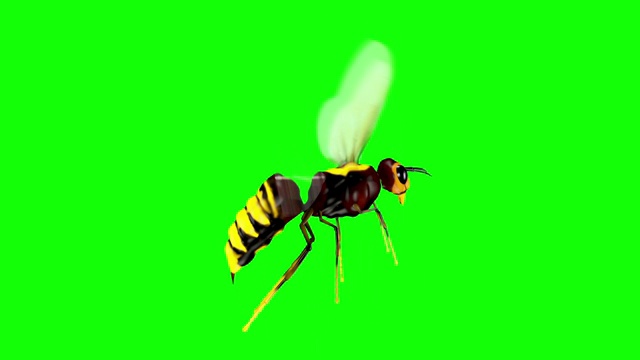 动画逼真的3D蜜蜂循环视频下载