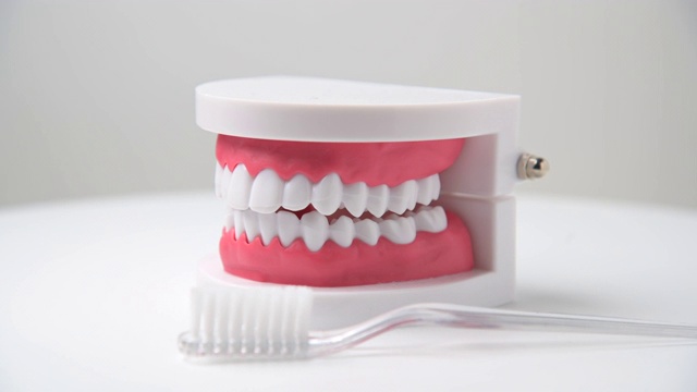用牙刷支撑牙齿，牙科形象视频下载
