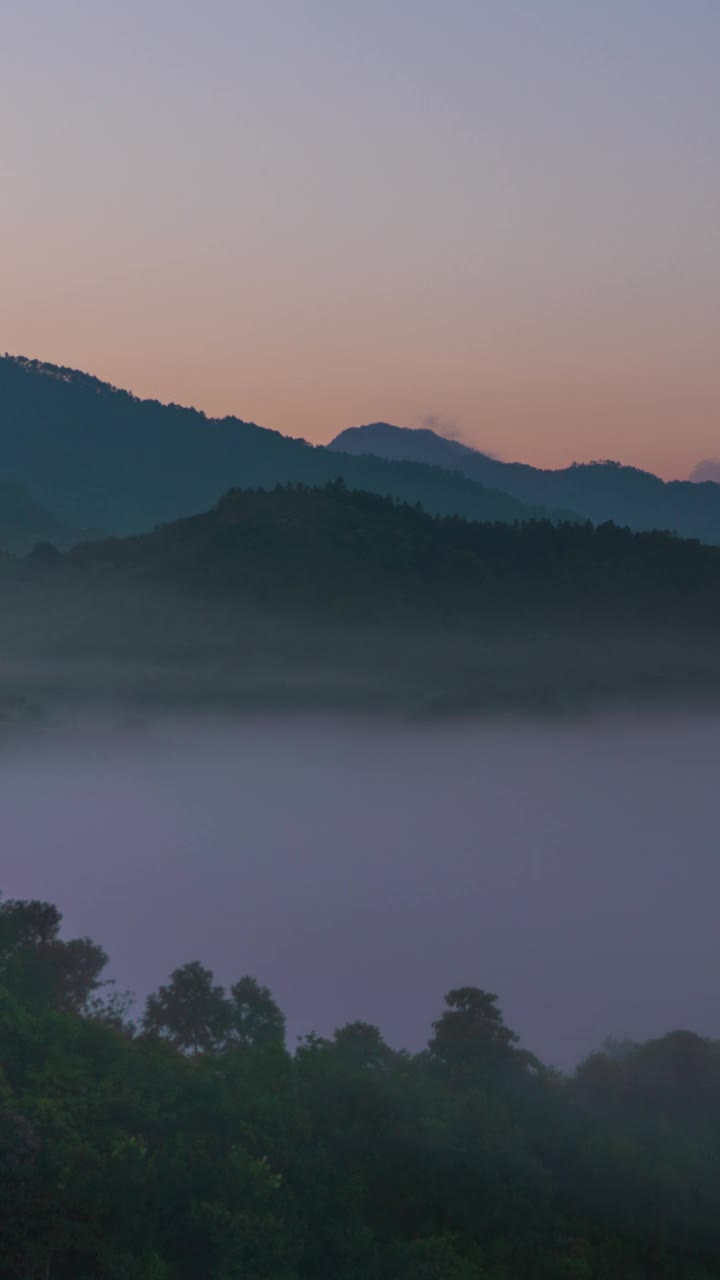 日出时，山谷中垂直时间流逝的雾视频素材