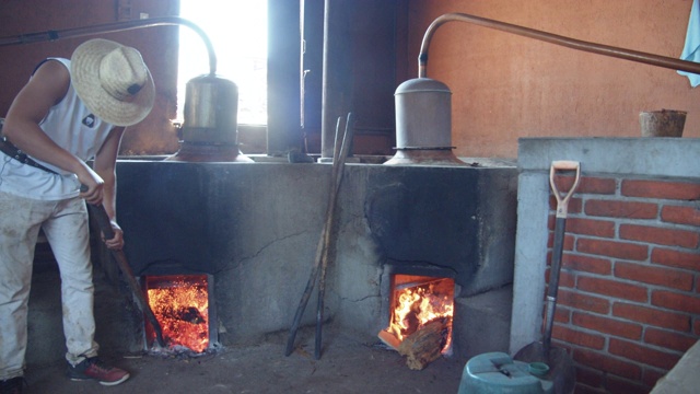 人照顾着梅斯卡尔蒸馏蒸馏的柴火。家族企业自制的梅斯卡尔酒。圣地亚哥德马塔兰，瓦哈卡，墨西哥视频下载