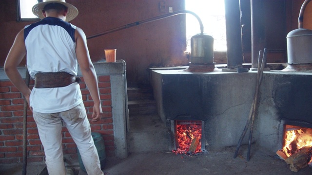 小伙子把原木加到梅斯卡尔蒸馏蒸馏的柴火中。家族企业的自制蒸馏工艺。圣地亚哥德马塔兰，瓦哈卡，墨西哥视频下载