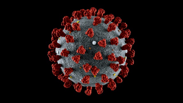 冠状病毒，可循环，包括阿尔法香奈儿视频下载