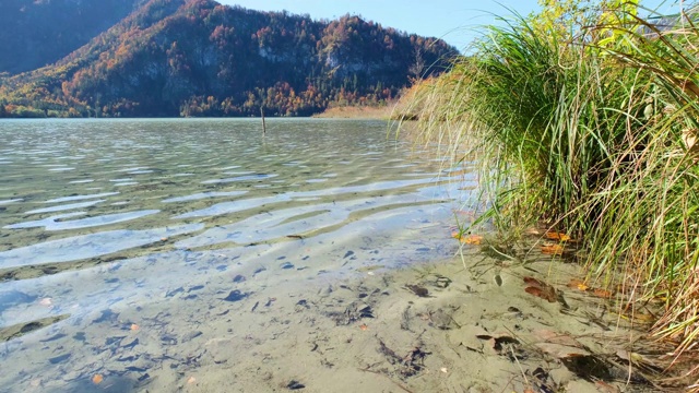 秋季高山奥芬西湖，萨尔兹卡默古特，上奥地利视频素材