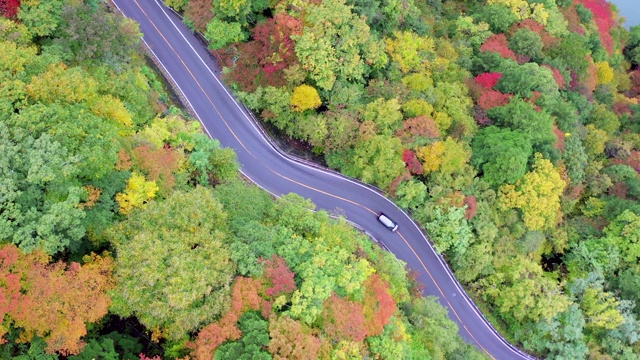 空中公路旅行通过森林视频素材