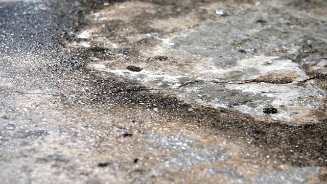 在雨天的白天，有水滴滴在长满苔藓的混凝土地面上视频下载