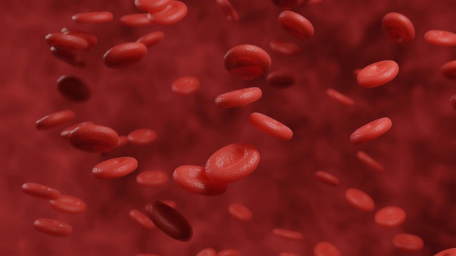 3D渲染红血球背景的微观运动图形视频素材