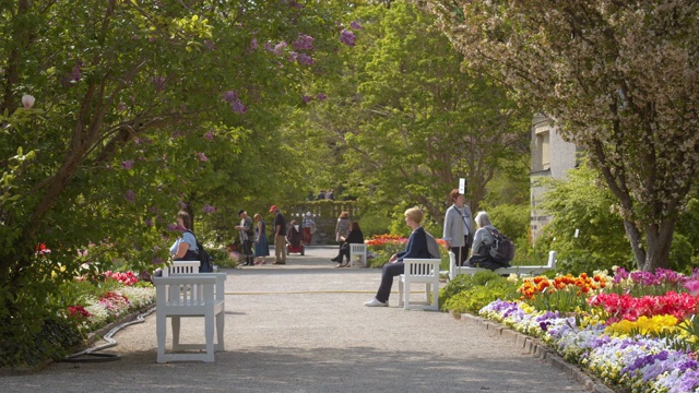 慕尼黑植物园宽镜头花园小径与花坛和长凳视频下载