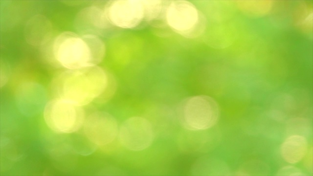 绿色的散景或聚焦的叶子背景。视频素材