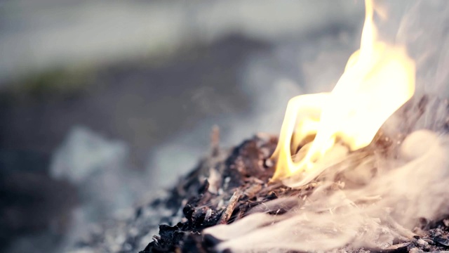 篝火的火焰与煤，灰烬和烟视频素材