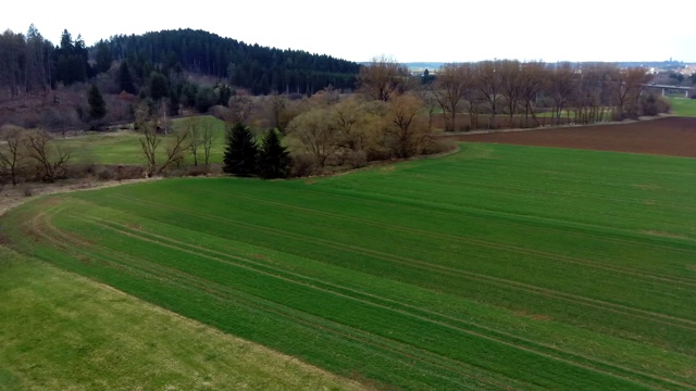 以山林为背景的绿色田野，无人机鸟瞰图视频下载
