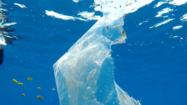 印度洋，斯里兰卡，漂浮在海洋中的塑料垃圾和鱼、贝壳、藻类和裸鳃类生物一起作为生活场所。视频下载