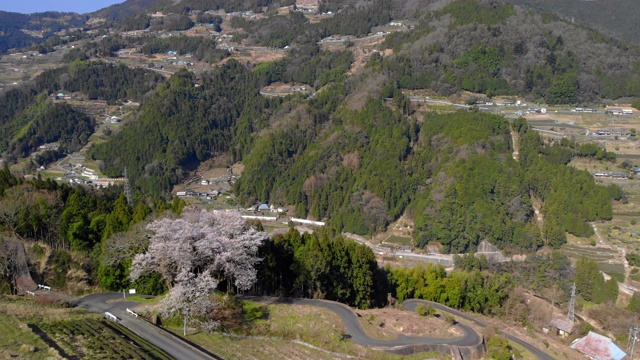日本德岛县三吉市伊川镇的风景视频素材