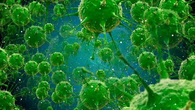 冠状病毒细菌视频下载