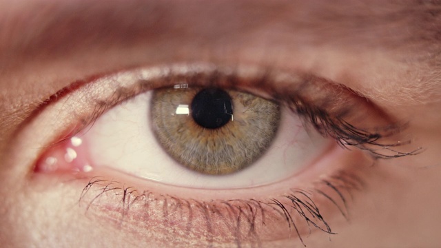 人类眼睛的褐色和蓝色虹膜视频素材