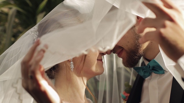 新婚夫妇。白人新郎和新娘在面纱下接吻。婚礼的夫妇视频下载