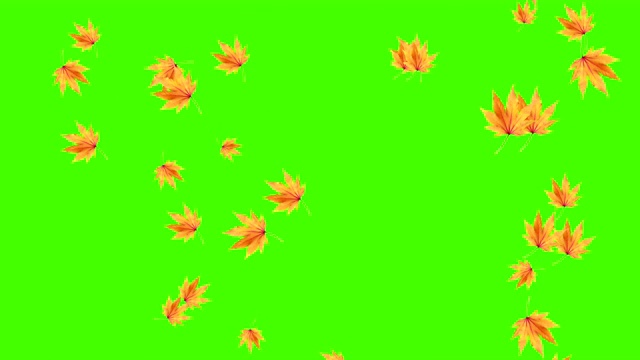 秋叶落环，绿屏色键视频素材