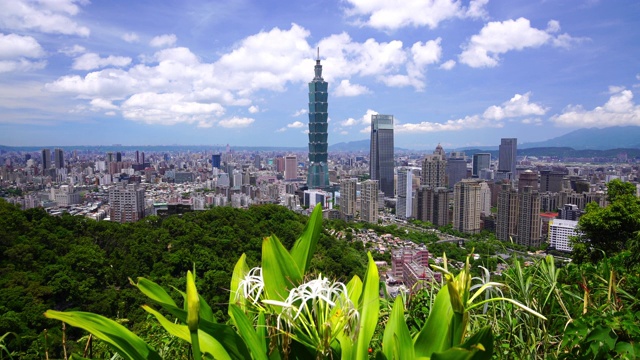 晴朗的一天，台湾台北城市的全景视频下载