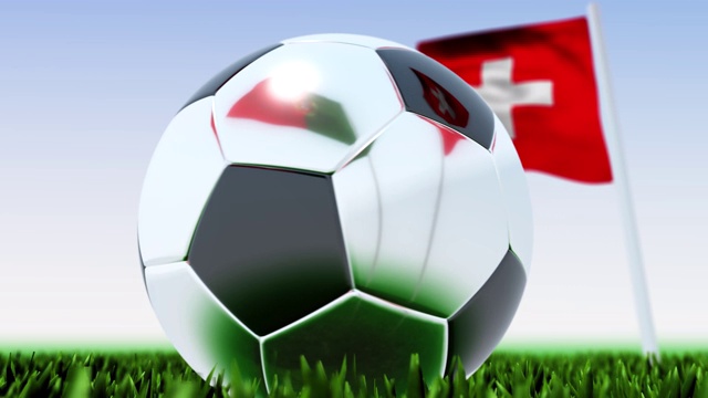 循环足球葡萄牙对瑞士视频素材