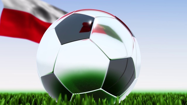 循环足球葡萄牙对波兰视频素材