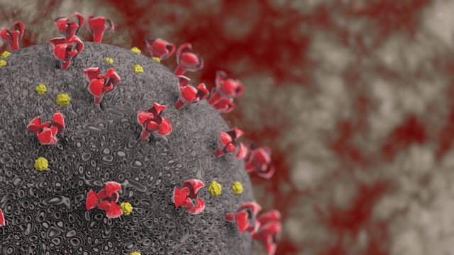 冠状病毒细胞攻击内脏器官的宏动画。视频下载
