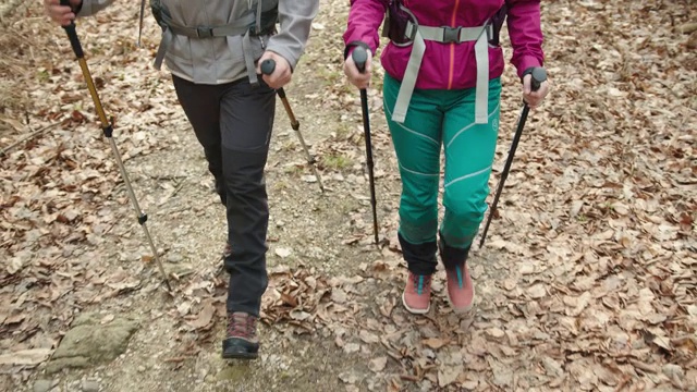 两个人拄着登山杖在森林小径上走视频下载