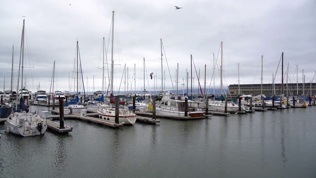 游艇停泊在渔人码头/美国加州旧金山视频下载