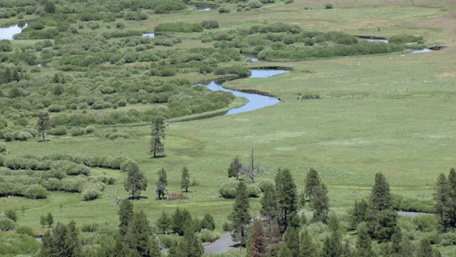 鸟瞰图的小德舒特河蜿蜒通过葱翠的景观，德舒特县，俄勒冈州。视频下载