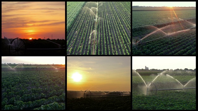 美丽的日落在灌溉农田-多屏幕视频视频素材