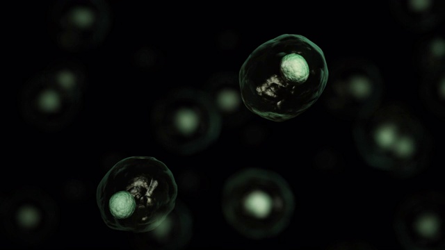 细胞生物学的3d渲染处理最小的生命单位。视频下载