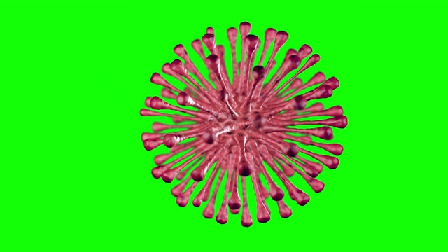 病毒，细胞，细菌-绿色屏幕4K动画片段视频素材
