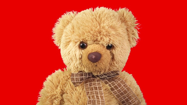 红色背景上的泰迪熊。儿童玩具在运动。最喜欢的玩具视频下载