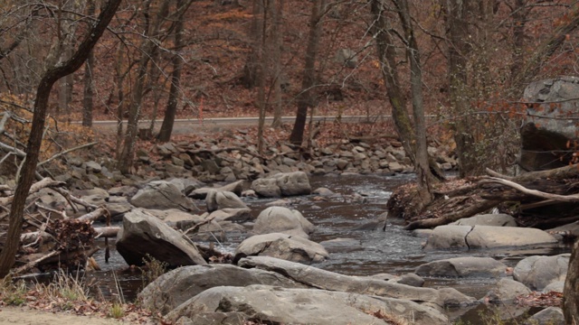石溪，没有人-石溪公园-华盛顿特区-秋天视频素材