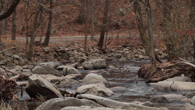 石溪，没有人-石溪公园-华盛顿特区-秋天视频素材