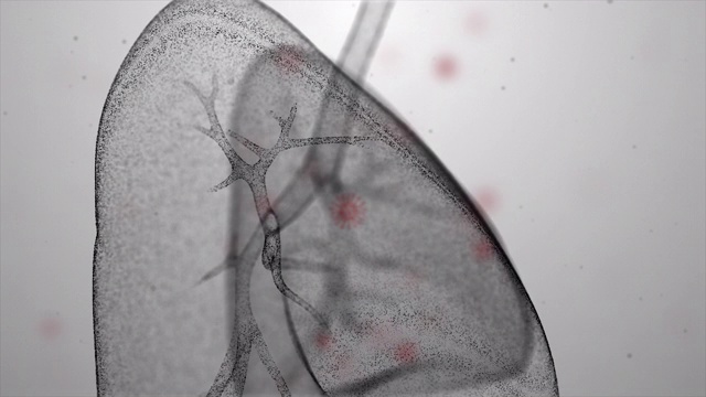 呼吸系统部位解剖-新冠肺炎-冠状病毒视频素材