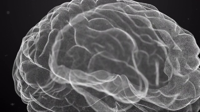 科技人脑扫描-股票视频视频素材
