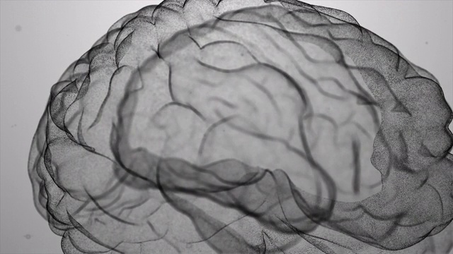 科技人脑扫描-股票视频视频素材