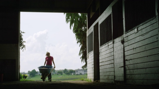 一位年轻妇女推着一辆独轮手推车进入农场的谷仓视频素材