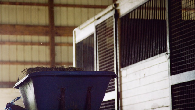 慢动作拍摄的一个女人在她二十多岁捡起一些干草从她的手推车饲料动物在一个农场的谷仓视频素材