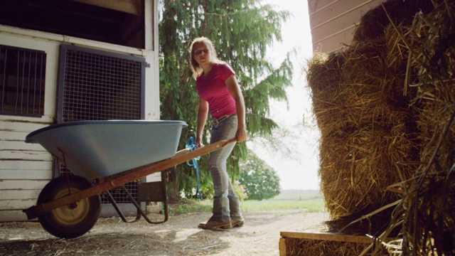 慢动作拍摄的一个年轻的女人在她二十多岁捡起一个干草堆，把它放在一个农场谷仓的手推车里视频素材