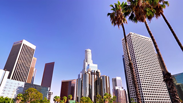 洛杉矶。商业区。棕榈树视频素材