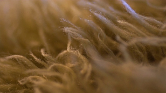 毛的纹理平移镜头视频下载