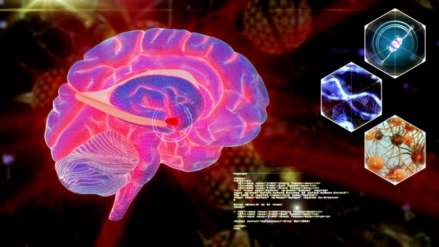 人脑神经元扫描视频下载