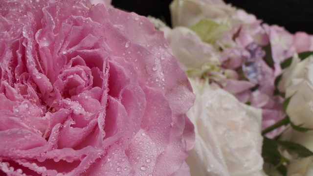 多莉微距拍摄美丽的玫瑰盛开的鲜花花束特写。视频素材