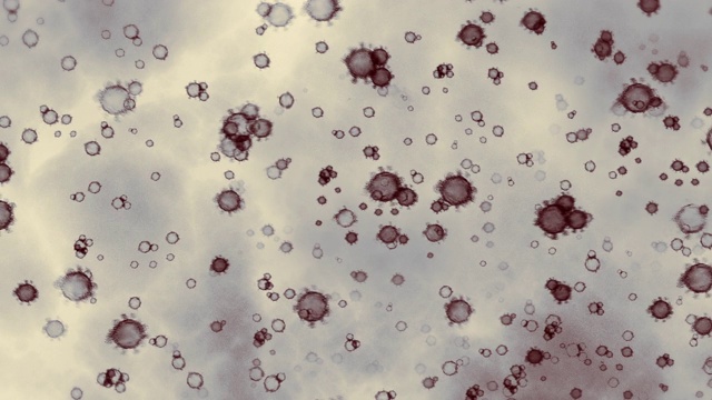 冠状病毒Covid - 19 |的显微镜下观察视频下载